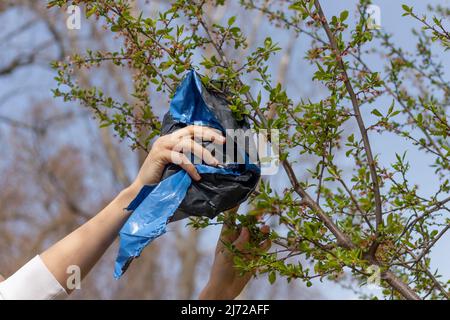 Uomo mano pick sacchetto di plastica da un albero vivo e visto l'irresponsabilità per l'ambiente di altri esseri umani Foto Stock