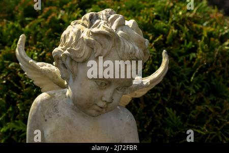 Primo piano di un angelo bianco. Momento di dolore alla fine di una vita. Ultimo addio. Concetto funerale. Foto Stock