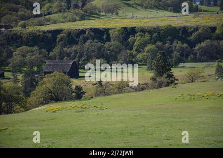 Un edificio storico fienile / fattoria su una fattoria vista dalla Tom McCall Preserve sul lato Oregon della Columbia River Gorge, USA. Foto Stock