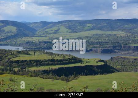 Spettacolari formazioni geologiche in parte della Columbia Gorge e del Columbia River viste dalla Tom McCall Preserve vicino a Rowena, Oregon, USA. Foto Stock