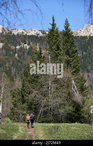 Giovane coppia con zaini che camminano lungo il sentiero verso boschi e montagne rocciose in lontananza, vista posteriore Foto Stock