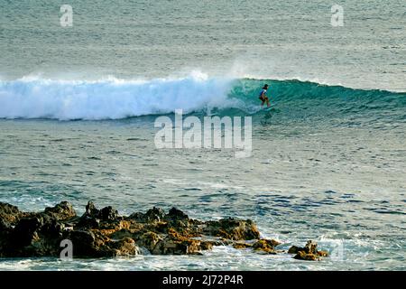 Un surfer di talento che cavalca sulle grandi onde nell'oceano pacifico a di Hanga Roa, isola di Pasqua, Cile, Sudamerica Foto Stock