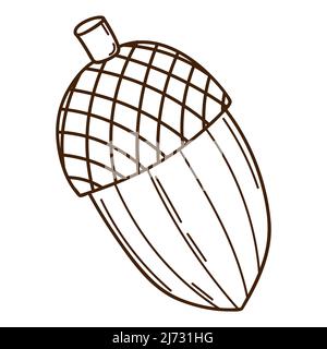Ghiande di quercia. Un simbolo della foresta, autunno, e raccolto. Elemento di disegno botanico con contorno. Doodle, disegnato a mano. Design piatto. Vettore bianco nero il Illustrazione Vettoriale