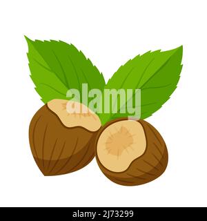 Nocciole in guscio con foglie. Cibo sano, un ingrediente. Stile cartoon piatto. Immagine vettoriale a colori isolata su sfondo bianco Illustrazione Vettoriale