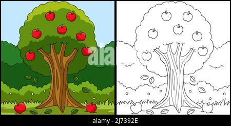 Apple Tree Coloring pagina Illustrazione colorata Illustrazione Vettoriale