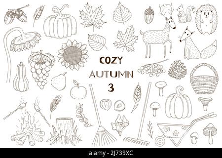 Un insieme di elementi decorativi. Autunno, animali forestali. Raccolti, foreste, animali. Collezione di design di doodles di contorno. Vettore bianco e nero illustrati Illustrazione Vettoriale