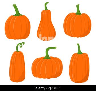 Una serie di icone colorate di zucca piatta. Vendemmia contadina d'autunno, giorno del Ringraziamento. Simbolo di zucca vegetale. Stile cartoon piatto. Illustrazione del vettore colore Illustrazione Vettoriale