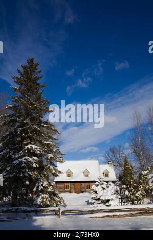 Vecchia casa in legno stile Canadiana del 1800s protetta da recinzione rustica in legno in inverno. Foto Stock