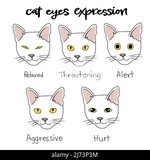 Illustrazione vettoriale cartoon del grafico di espressione degli occhi Cat Illustrazione Vettoriale