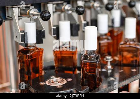 Bottiglie di cognac costoso stand sulla linea di produzione in negozio Foto Stock