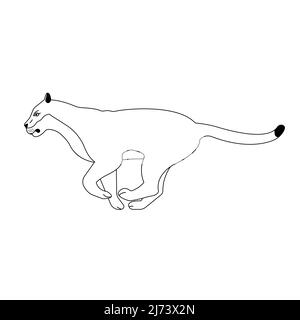 Vettore flat corrente Lioness isolato su sfondo bianco Illustrazione Vettoriale