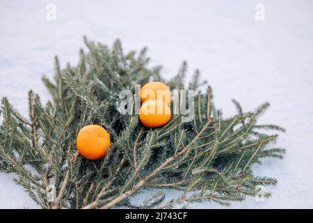 Le arance di frutta si trovano su rami di abete rosso. Attributi di Natale e Capodanno - fragranti tangerini e albero di Natale. Foto di alta qualità Foto Stock