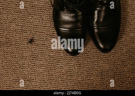 Stivali neri si siedono su un pavimento marrone testurizzato. Fly creeps crawls vicino scarpe. Scarpe classiche alla moda da uomo. Collezione 2021 uomo in stile classico Foto Stock