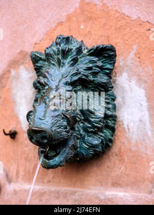 Boar fontana in Eberbach, Valle Neckar Foto Stock