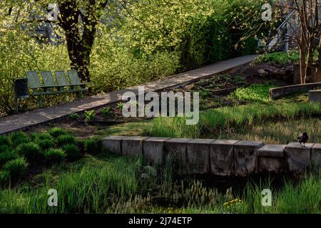Paesaggio del parco. Ruscello, sentiero inclinato, banco in metallo. Foto Stock