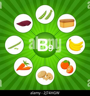 Poster quadrato con prodotti alimentari contenenti vitamina B9. Acido folico. Medicina, dieta, alimentazione sana, infografica. Cartoni animati piatti elementi alimentari su una brigata Illustrazione Vettoriale