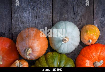 Set di diverse zucche su vecchio sfondo di legno. Varietà diverse. Zucca arancione, verde e grigia. Raccolta autunnale. Halloween e Thanksgiving cibo. Foto Stock