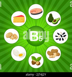 Un poster quadrato con prodotti alimentari contenenti vitamina B5. Acido pantotenico. Medicina, dieta, alimentazione sana, infografica. Cartoon piatto elementi alimentari o Illustrazione Vettoriale