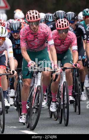 01 maggio 2022, Hessen, Schmitten: Ciclismo: UCI WorldTour - Eschborn - Francoforte (185 km). Jonas Rutsch dalla Germania del Team EF Education-EasyPost guida nel peloton. Foto: Sebastian Gollnow/dpa Foto Stock