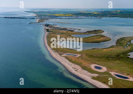 Spit Hook presso la riserva naturale Schleimuende, Germania, Schleswig-Holstein Foto Stock