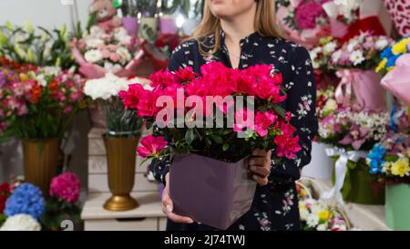 Donna tenere un vaso di fiori con azalea rosa nelle sue mani su sfondo negozio di fiori Foto Stock