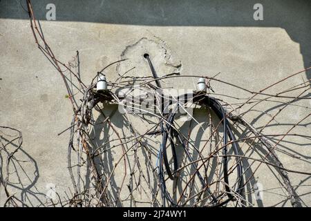 Trofostation, Stromversorgung, Lost Place, Infrastruktur, verlassen, Aufgelassen, Trafohäuschen, Isolator, Draht, Leitung, Stromleitung, stillgelegt, Foto Stock