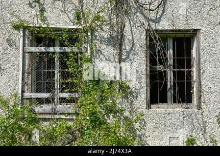 Trofostation, Stromversorgung, Lost Place, Infrastruktur, verlassen, Aufgelassen, Trafohäuschen, Isolator, Draht, Leitung, Stromleitung, stillgelegt, Foto Stock