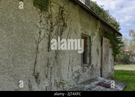 Trofostation, Stromversorgung, Lost Place, Infrastruktur, verlassen, Aufgelassen, Trafohäuschen, Isolator, Draht, Leitung, Stromleitung, stillgelegt, Foto Stock