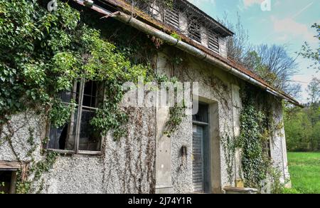 Trofostation, Stromversorgung, Lost Place, Infrastruktur, verlassen, Aufgelassen, Trafohäuschen, Isolator, Draht, Leitung, Stromleitung, stillgelegt, Foto Stock