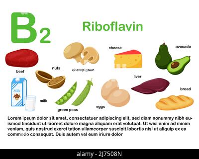 Poster rettangolare con prodotti alimentari contenenti vitamina B2. Riboflavina. Medicina, dieta, alimentazione sana, infografica. Prodotti con cartoon name.Flat Illustrazione Vettoriale