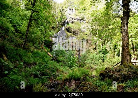 Meandering a Canonteign Falls nella Teign Valley. Foto Stock