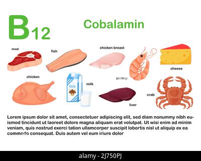 Poster rettangolare con prodotti alimentari contenenti vitamina B12. Cobalamina. Medicina, dieta, alimentazione sana, infografica. Prodotti con cartoon name.Flat Illustrazione Vettoriale