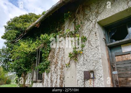 Trofostation, Stromversorgung, Lost Place, Infrastruktur, verlassen, Aufgelassen, Trafohäuschen, Isolator, Draht, Leitung, Stromleitung, stillgelegt, Foto Stock