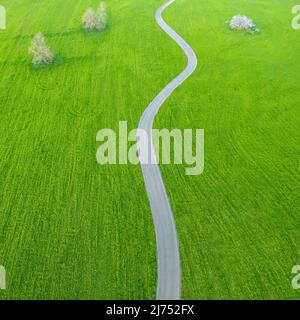 Strada asfaltata di campagna che si snoda attraverso campi di erba verde e alberi, paesaggio minimalista aereo Foto Stock