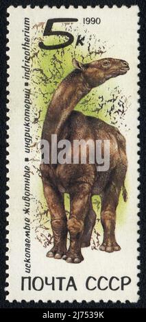 Un francobollo mostra un'immagine di Indricotherium, sieria Fossil Animals, URSS 1987 Foto Stock