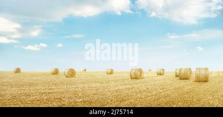 Panorama di campo giallo con balle di fieno sotto cielo azzurro con nuvole, sfondo paesaggistico minimalista Foto Stock