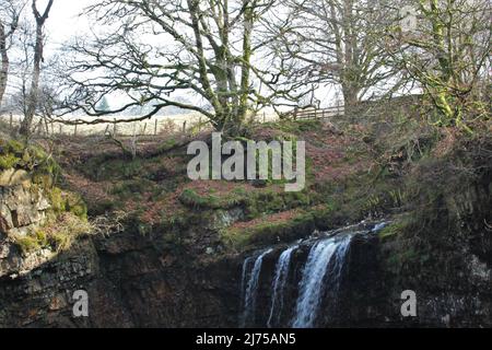 Cascate di Dalcairney - Scozia Foto Stock