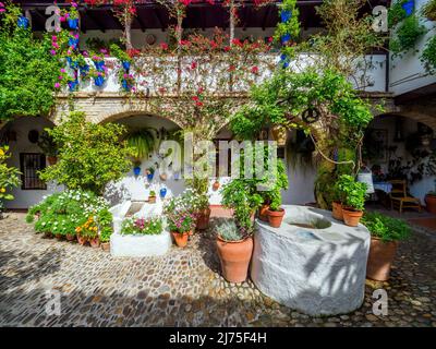 Tradizionale cortile andaluso pieno di piante e fiori nella città vecchia - Cordoba, Spagna Foto Stock