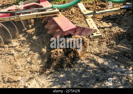 Trattore che esegue attività di dissodamento nell'oliveto - erpici a disco Foto Stock