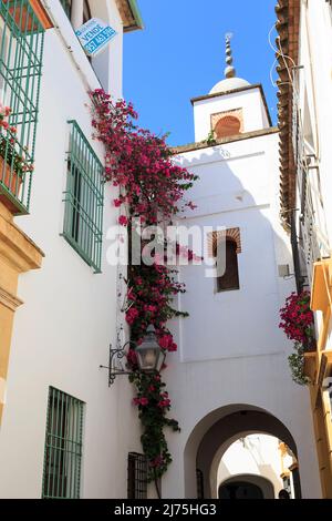 CORDOBA, SPAGNA - 23 MAGGIO 2017: È una torre con un arco in stile moresco in una stretta corsia dell'ex quartiere ebraico (Juderia). Foto Stock