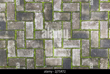 Vista dall'alto delle pietre di pavimentazione con muschio per sfondo naturale Foto Stock