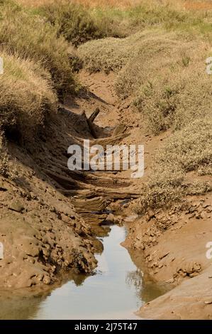 Morston Quay, Norfolk, Regno Unito - 18 Aprile 2021: Affacciato sulle fangose piane, norfolk Foto Stock