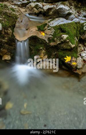 Piccola cascata a Kesselberg vicino a Kochel con foglie colorate autunnali e muschio verde Foto Stock