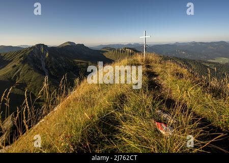 Il Sonntagsspitze con croce di vetta nel Karwendel, nelle Alpi tirolesi, con sentiero che segna in erba alta e cielo blu Foto Stock