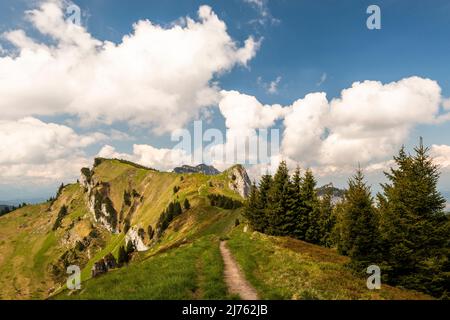 Il sentiero escursionistico, sentiero di montagna tra il Brauneck e Benediktenwand lungo il crinale, sullo sfondo a destra il Vordere Kirchstein e a sinistra il Latschenkopf, Alle spalle ancora le vette del Benediktenwand in una bella giornata estiva con cielo blu e nuvola di luce. Foto Stock