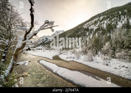 Il Rissbach in inverno con neve e gelo. Un vecchio albero di acero marcio sulla riva allunga i suoi rami innevati e ramoscelli verso il cielo. Foto Stock