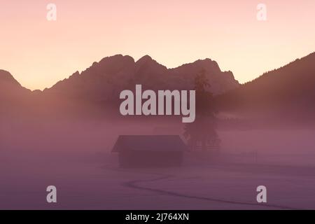 Atmosfera nebbia tra Krün e Wallgau in Werdenfelser Land in inverno. La fitta nebbia si trova sui prati nevosi con Stadln, sullo sfondo le montagne di Wetterstein e le Zugspitze in viola sera rosso con cielo senza nuvole. Foto Stock