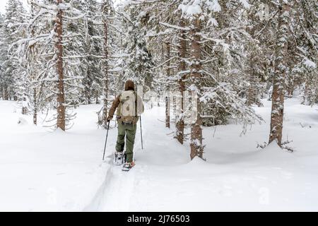 Inverno a Karwendel, un escursionista (autoritratto) con un grande zaino cammina attraverso una fitta foresta di abeti, seguendo un sentiero. Foto Stock