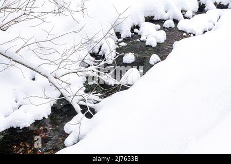 Un piccolo ruscello nella neve tra fitti alberi di una foresta in inverno in Tirolo, Austria. Foto Stock