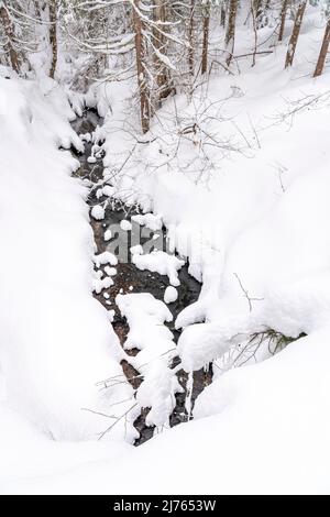 Un piccolo ruscello nella neve tra fitti alberi di una foresta in inverno in Tirolo, Austria. Foto Stock